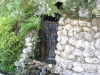 IMGP0278