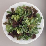 Mesclun