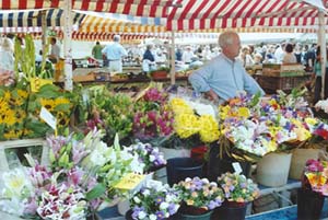 Nice Markets